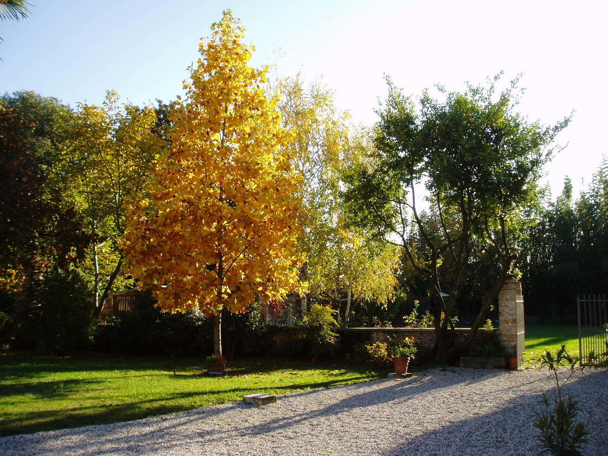 Bed and Breakfast Borgo Palazzo Steffaneo San Vito al Torre Zimmer foto